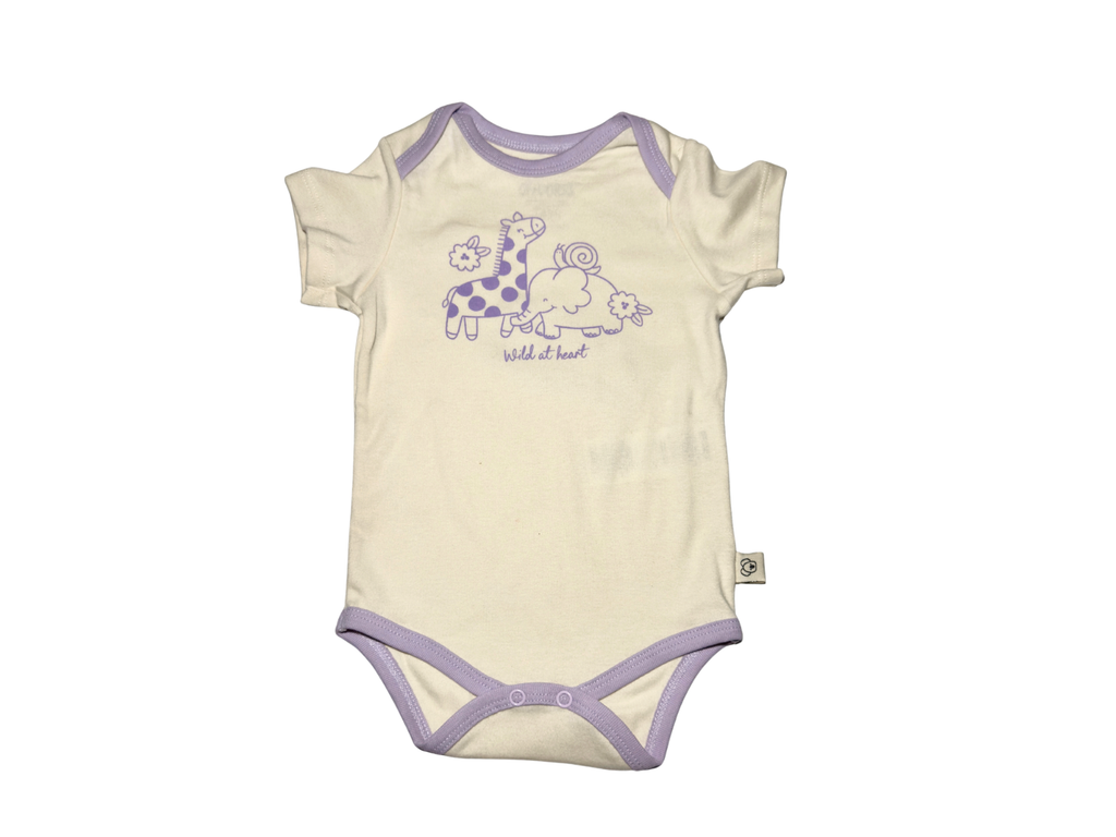 2-Pack Baby Girl Bodysuit Set