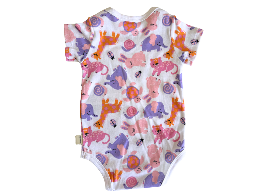 2-Pack Baby Girl Bodysuit Set