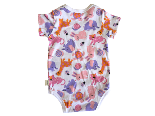 2-Pack Baby Girl Bodysuit Set