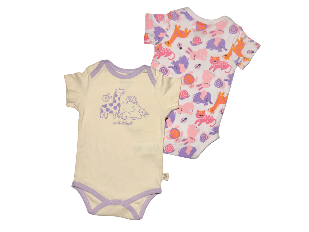 2-Pack Baby Girl Bodysuit Set