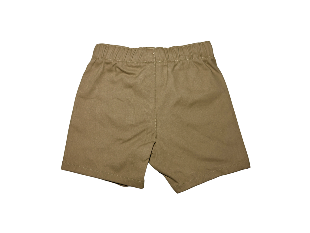 Baby Boy Short-Sleeve Shirt & Shorts Set